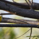 Photo taken by Graeme W