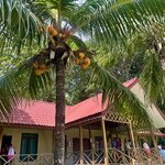 Photo taken by Rob C