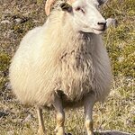 Photo taken by Anita H