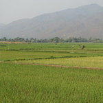 Inle Lake | Photo taken by Liz S