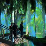 Photo taken by Ezekiel P