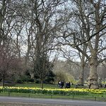 Photo taken by Marcy B