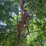 Photo taken by Luke T