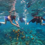 Photo taken by wendi r