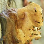 Photo taken by Graeme W