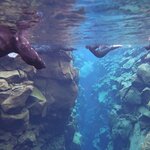 Photo taken by stefanie c