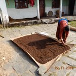 Photo taken by Wayne D