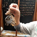 Photo taken by Kathy H