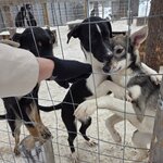 Photo taken by Caitlin P