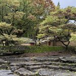 Photo taken by Annie A