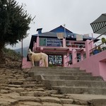 Along the trek. | Photo taken by Wayne P