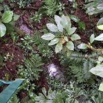 Photo taken by Jennifer G