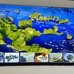 Photo taken by Chris T