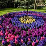 Photo taken by Monique L