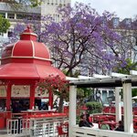 Photo taken by Mike T