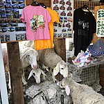 Photo taken by Andrew S