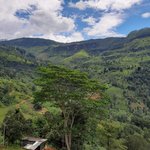 Photo taken by Dineia P