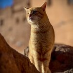 Photo taken by Colin M