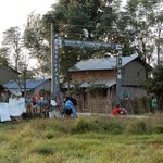 Photo taken by Wayne D