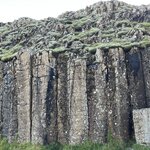 Photo taken by shelley w