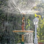 Photo taken by Kristy P