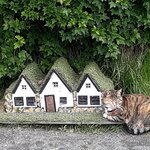 Photo taken by Denise H