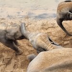 Photo taken by Tanya G