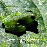 Photo taken by Susan D