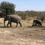 Photo taken by Virginia H