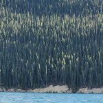 Photo taken by Jose R