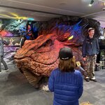 Photo taken by Erin C