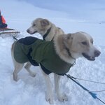 Photo taken by Lori M