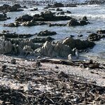 Photo taken by Joanne B