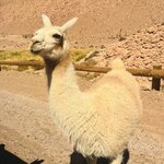 Photo taken by Anna E