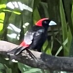 Photo taken by Charles H