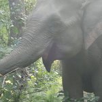 Photo taken by Katherine J