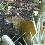 Photo taken by Kristen L