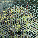 Photo taken by Graciela P