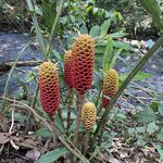 Photo taken by Alex V