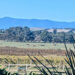 Photo taken by Judy H