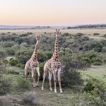 Photo taken by Martin D