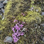 Photo taken by Tom B