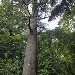 Photo taken by Ruth R