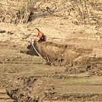 Photo taken by martin M