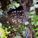 Photo taken by Patrice G