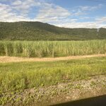 Photo taken by Cindy H