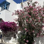 Photo taken by Christy W