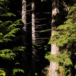 Photo taken by Samantha C