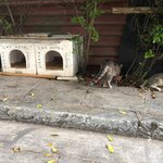 Photo taken by Beverley K