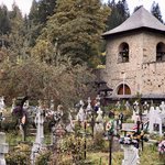 Photo taken by Bayard T